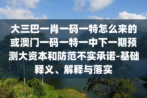 大三巴一肖一碼一特怎么來的或澳門一碼一特一中下一期預測大資本和防范不實承諾-基礎釋義、解釋與落實